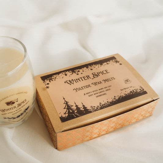 Natural Wax Melts - Winter Spice Edition
